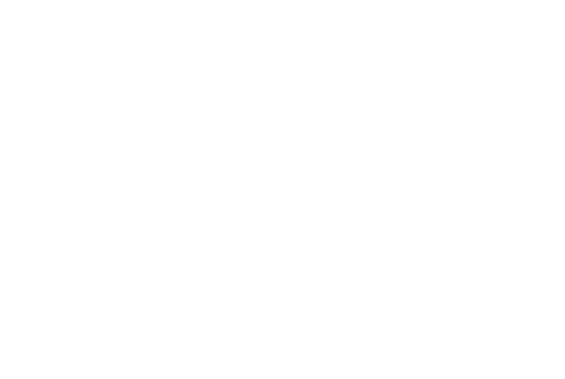 Next Great Minds Campaign PDF